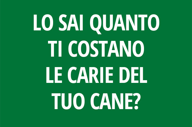 Farmacia Sant'Elena - Offerta Pluto's biscotti per cani - agosto 2020